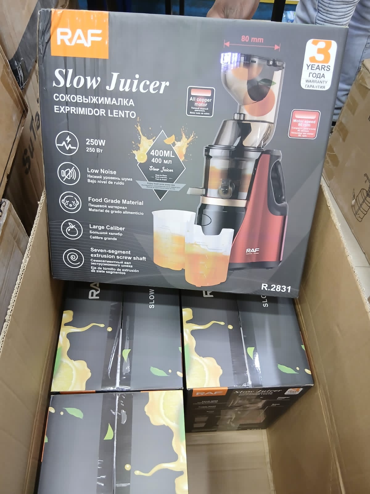 RAF Slow Juicer R.2831 – 150W Electric Filter‑Free Juicer