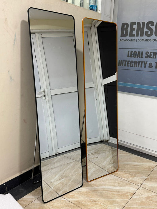 Linglong Full-Length Aluminum Dressing Mirror